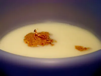 Oceans hiv body strenghtner porridge