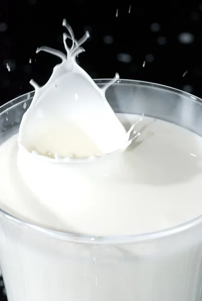 The High Yogurt Plain