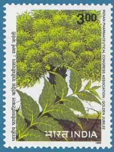 LATTUADA GAMMA - YEAR 2004