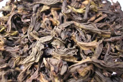 Oolong Tea