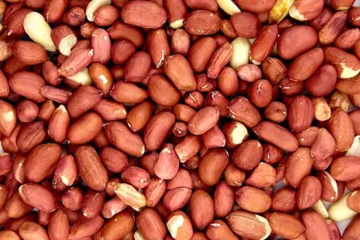Red Kidney Beans