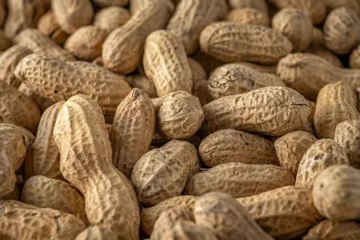Peanuts In Shell