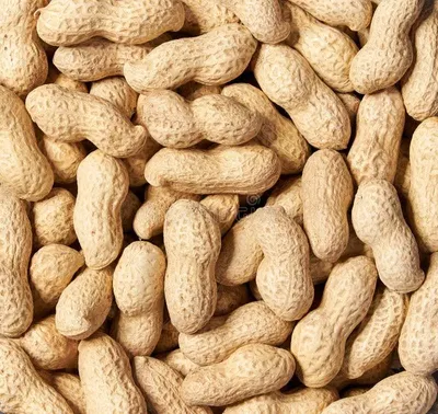 Peanuts by Adde Holdings Limited