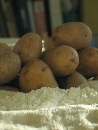 Potato
