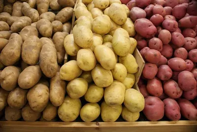 Fresh Potatoes