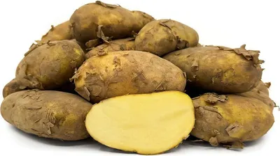 Pinellia tuber extract