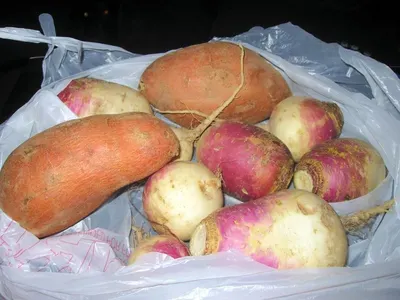 Sweet Potatoes