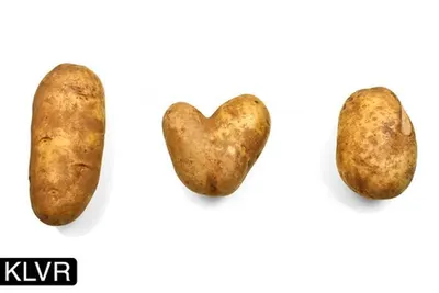 Potatos