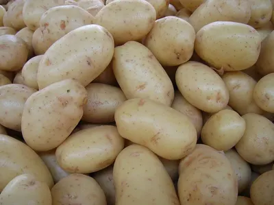Potatoes