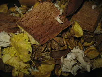 Goat washy bark by Tusharika Consultancy, India