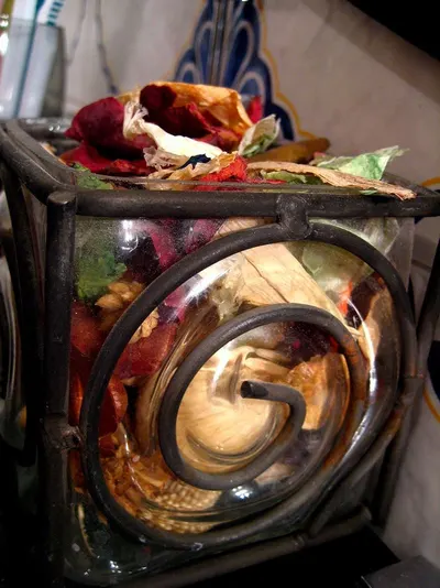 Eco Friendly Food Waste Processor