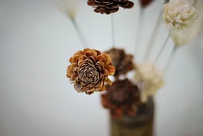 Sola Wood Flower