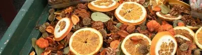 Osmotic Dried Orange Slices