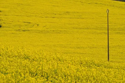 Tuscany by Rida International