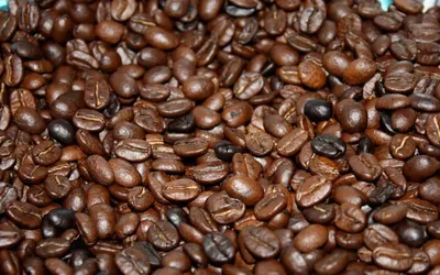Arabica Roasted Bean Screen 18