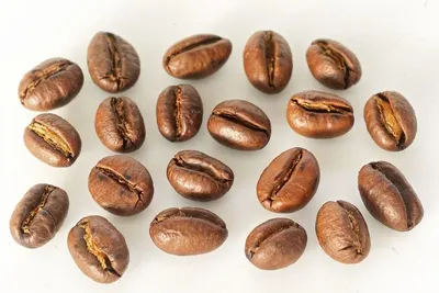 Robusta Coffee