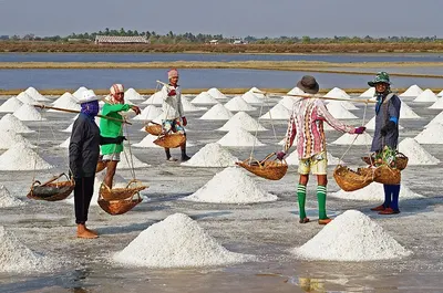 Salt Tay Ninh by Shehab International Trading Promotion And Investment Co., Ltd