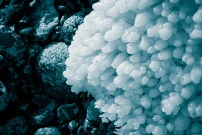 Coral condensate