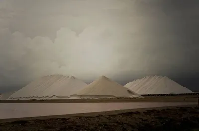 Silent Desert