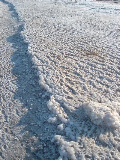 Frozen Fog Legs by Huvy Export Import Co., Ltd.