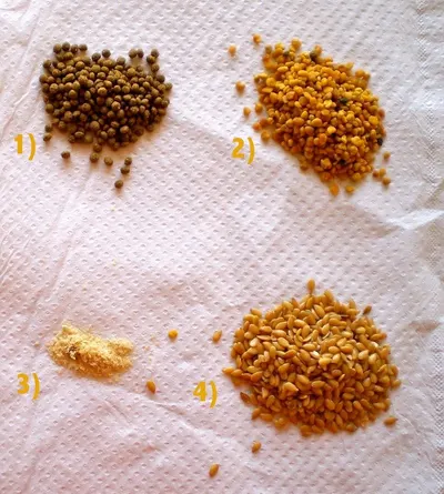 Bee pollen