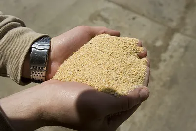 Legimes Grain Rise