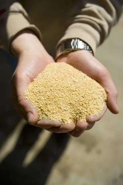 Soybean and Corn Meal