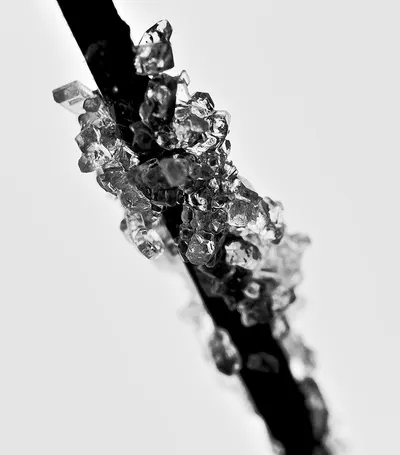 Frozen Golden Line