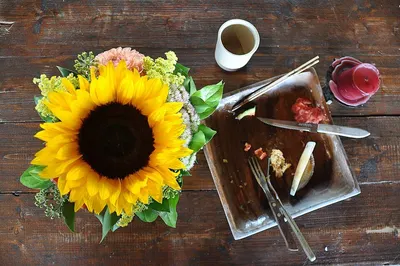 Sunflower meal and Sunflower cake