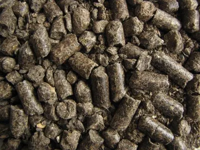 Sphagnum Peat "PeatmaX" by Biovermix Llc