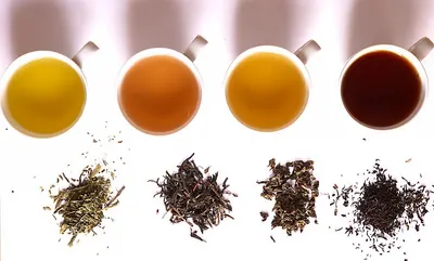 Flavored Specialty Teas by Lucky Leather Stores