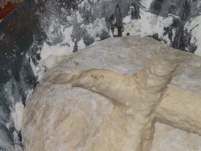 Wheat Flour