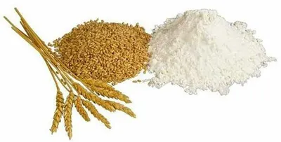 Wheat Flour