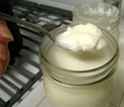 Yogurt by Magnificent India