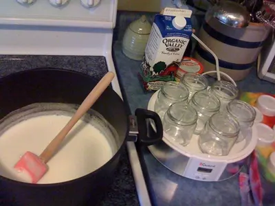 Stained Yogurt