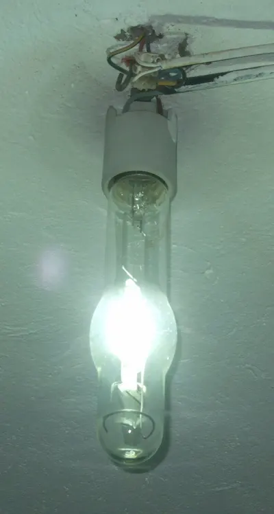 220V 950W IR Quartz Lamp by Nanjing E-Den Lighting Technology Co., Ltd.