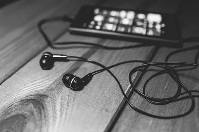 Earphones