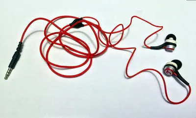 Elastic Ear Loop