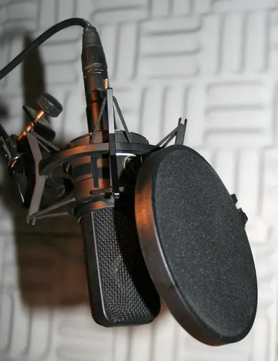Microphone
