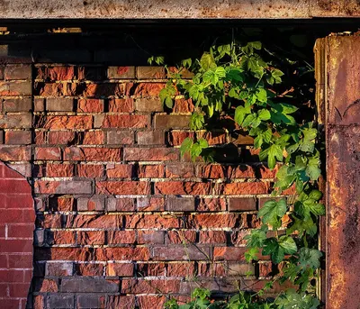 Weathered Facing Brick by Prayag Clay Products Ltd.