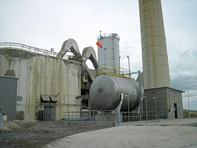 Vettiver Plant