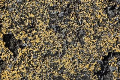 Royal Gold Granites