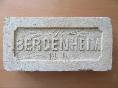 Gum Benjamin