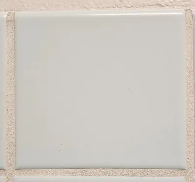 Binchotan White Charocal