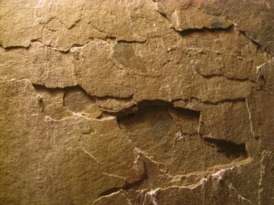 Buff Brown Quartzite