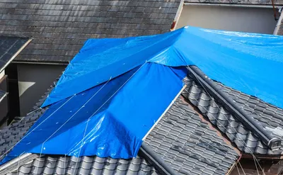 Roof Cover