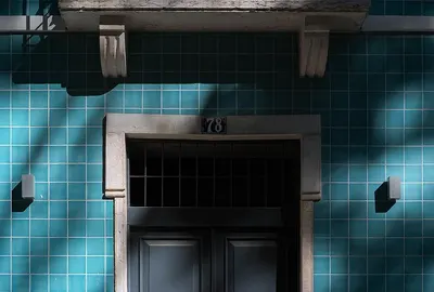 Stainless steel wall mount hoods