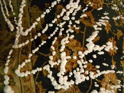 Selenite Stone Knotted Mala Necklace 108 beads by Namya Artzy Private Limited