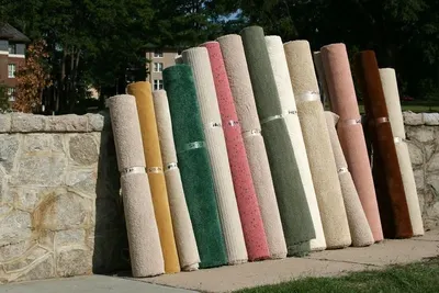 Hand - Tufted Carpet & Rug