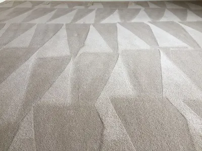 Wall to Wall Customized Carpets